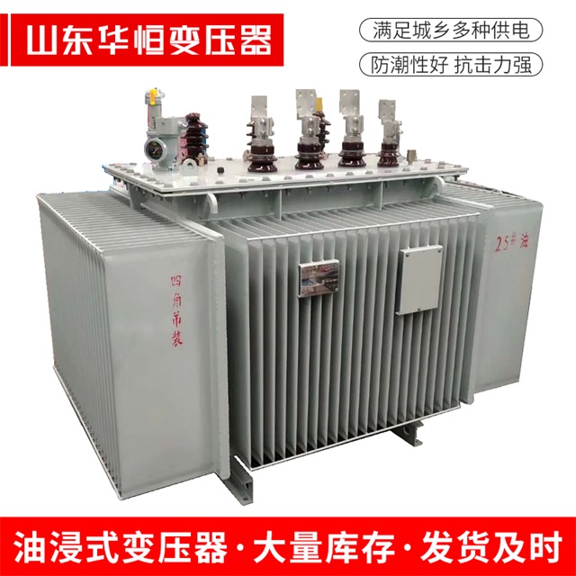 S13-10000/35扶绥扶绥扶绥电力变压器厂家