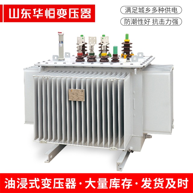 S13-10000/35扶绥扶绥扶绥电力变压器